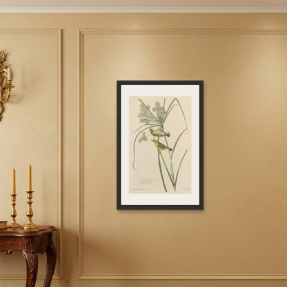 Orlonzo - FRAMED CANVAS BLACK 60x90cm24x36 ROOM