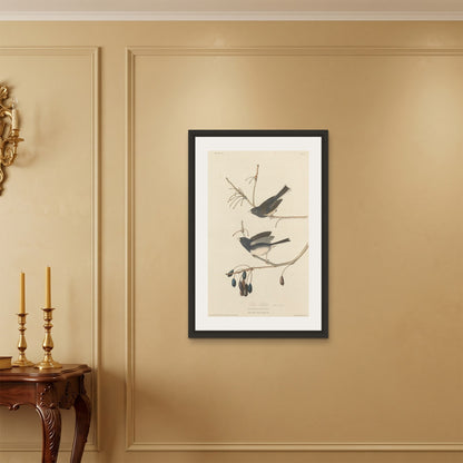 Orlonzo - FRAMED CANVAS BLACK 60x90cm24x36 ROOM