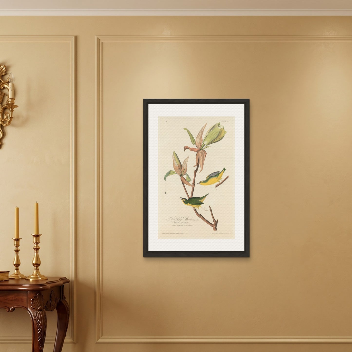 Orlonzo - FRAMED CANVAS BLACK 60x90cm24x36 ROOM
