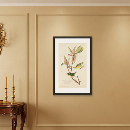 Orlonzo - FRAMED CANVAS BLACK 60x90cm24x36 ROOM
