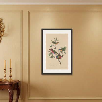 Orlonzo - FRAMED CANVAS BLACK 60x90cm24x36 ROOM