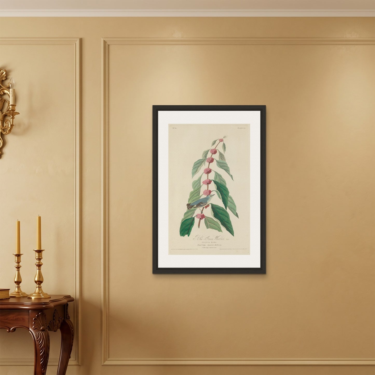 Orlonzo - FRAMED CANVAS BLACK 60x90cm24x36 ROOM