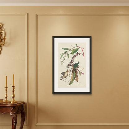 Orlonzo - FRAMED CANVAS BLACK 60x90cm24x36 ROOM