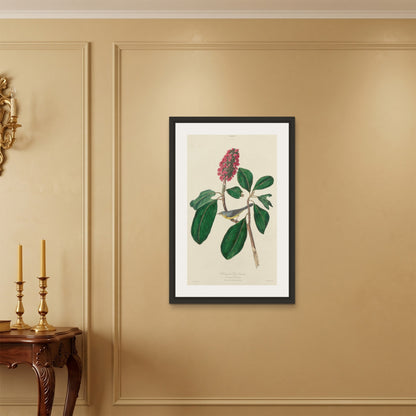 Orlonzo - FRAMED CANVAS BLACK 60x90cm24x36 ROOM