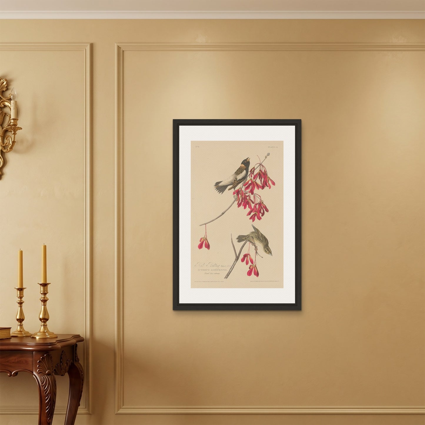 Orlonzo - FRAMED CANVAS BLACK 60x90cm24x36 ROOM