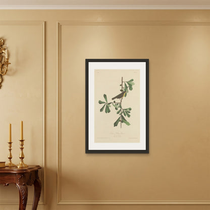 Orlonzo - FRAMED CANVAS BLACK 60x90cm24x36 ROOM