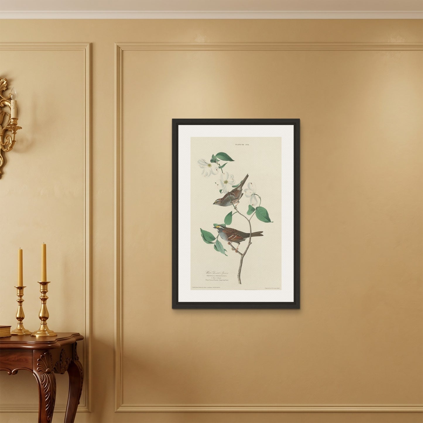 Orlonzo - FRAMED CANVAS BLACK 60x90cm24x36 ROOM
