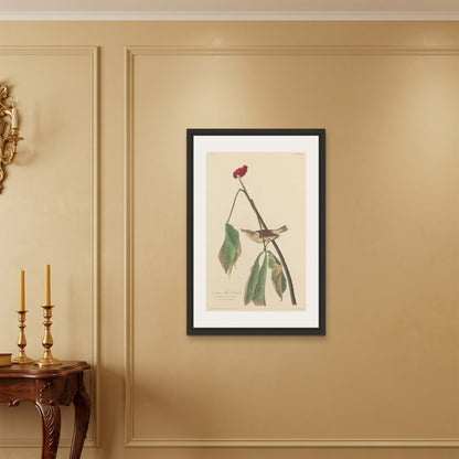 Orlonzo - FRAMED CANVAS BLACK 60x90cm24x36 ROOM