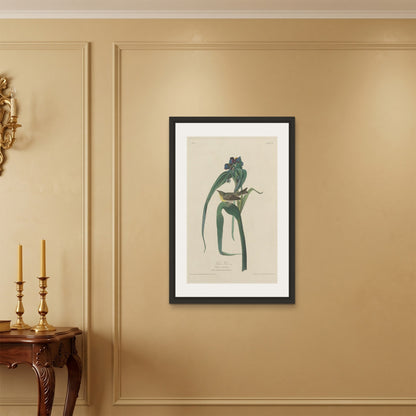 Orlonzo - FRAMED CANVAS BLACK 60x90cm24x36 ROOM