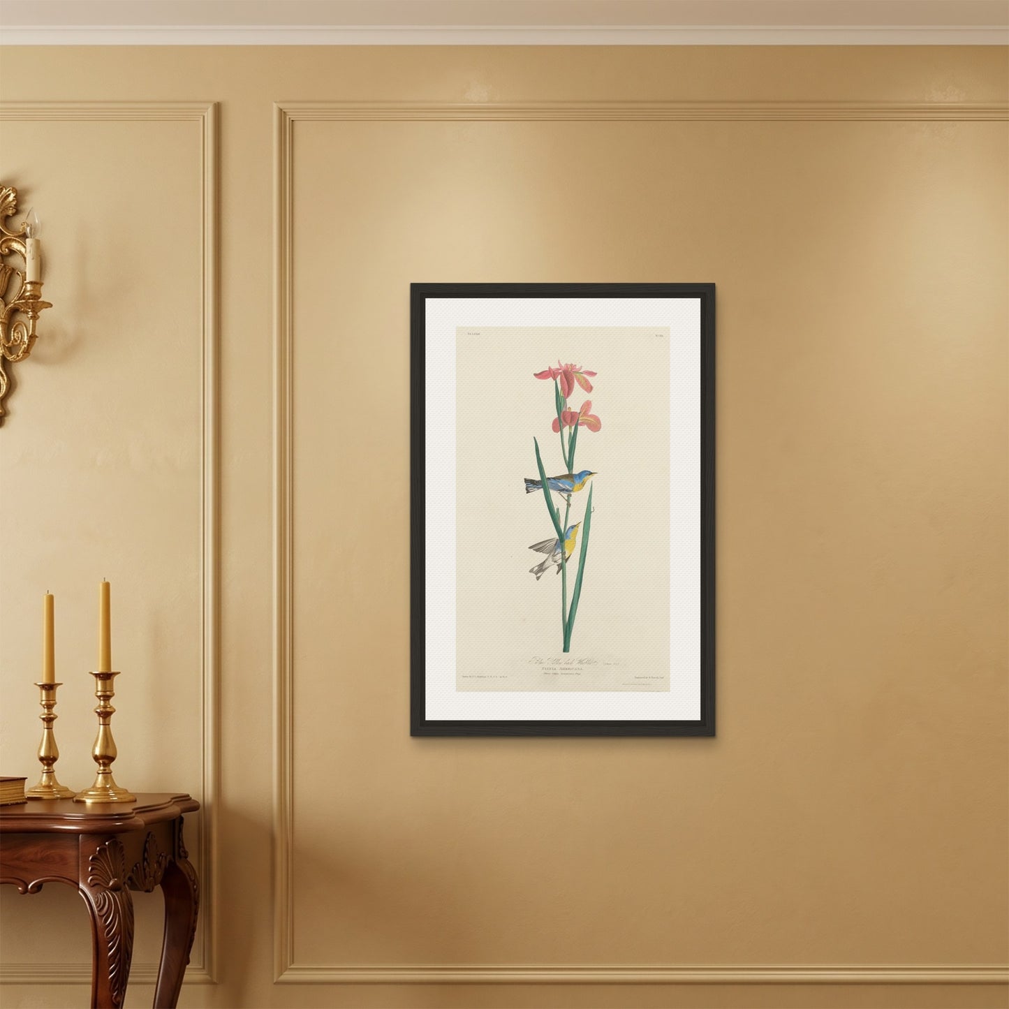 Orlonzo - FRAMED CANVAS BLACK 60x90cm24x36 ROOM