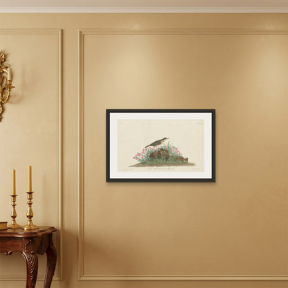 Orlonzo - FRAMED CANVAS BLACK 7550cm3020 ROOM