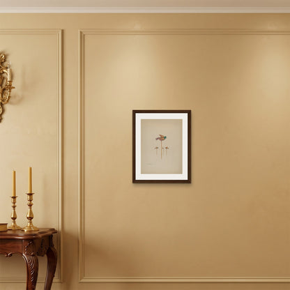 Orlonzo - FRAMED CANVAS DARK WOOD 40x50cm16x20 ROOM