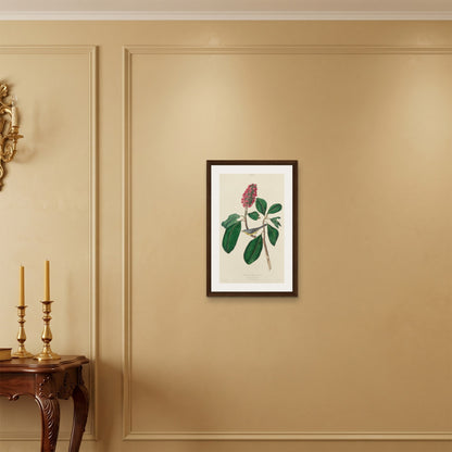 Orlonzo - FRAMED CANVAS DARK WOOD 40x60cm16x24 ROOM