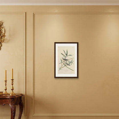 Orlonzo - FRAMED CANVAS DARK WOOD 40x60cm16x24 ROOM
