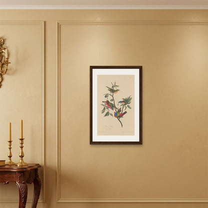 Orlonzo - FRAMED CANVAS DARK WOOD 50x75cm20x30 ROOM