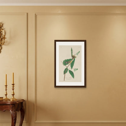 Orlonzo - FRAMED CANVAS DARK WOOD 50x75cm20x30 ROOM