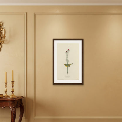 Orlonzo - FRAMED CANVAS DARK WOOD 50x75cm20x30 ROOM