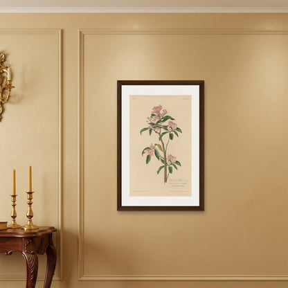 Orlonzo - FRAMED CANVAS DARK WOOD 60x90cm24x36 ROOM