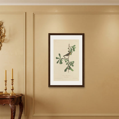 Orlonzo - FRAMED CANVAS DARK WOOD 60x90cm24x36 ROOM
