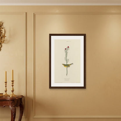 Orlonzo - FRAMED CANVAS DARK WOOD 60x90cm24x36 ROOM
