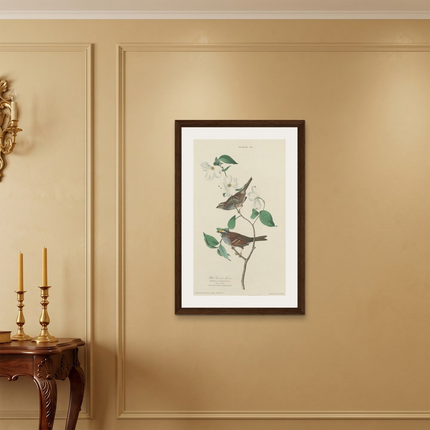 Orlonzo - FRAMED CANVAS DARK WOOD 60x90cm24x36 ROOM