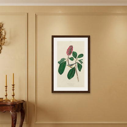 Orlonzo - FRAMED CANVAS DARK WOOD 60x90cm24x36 ROOM