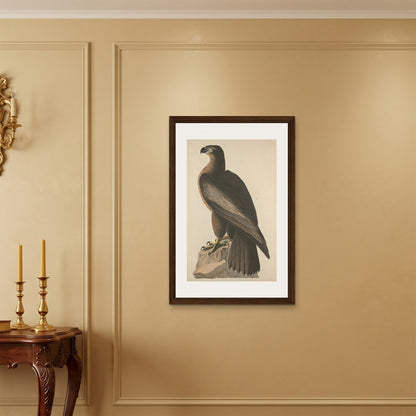Orlonzo - FRAMED CANVAS DARK WOOD 60x90cm24x36 ROOM