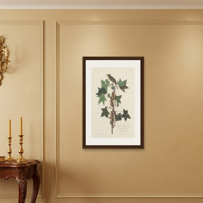 Orlonzo - FRAMED CANVAS DARK WOOD 60x90cm24x36 ROOM