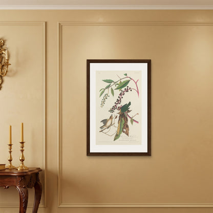 Orlonzo - FRAMED CANVAS DARK WOOD 60x90cm24x36 ROOM