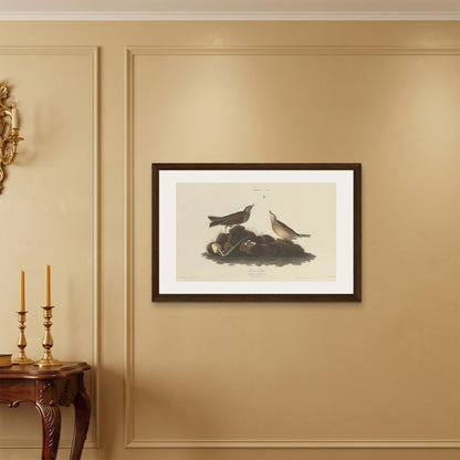 Orlonzo - FRAMED CANVAS DARK WOOD 9060cm3624 ROOM