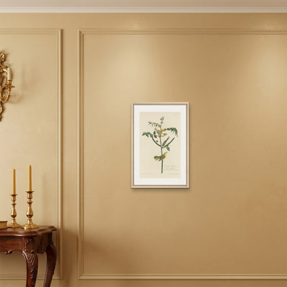 Orlonzo - FRAMED CANVAS WOOD 40x60cm16x24 ROOM