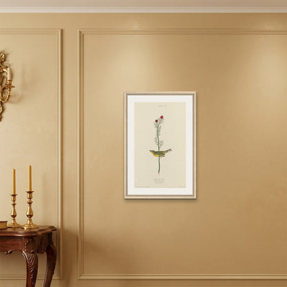 Orlonzo - FRAMED CANVAS WOOD 50x75cm20x30 ROOM