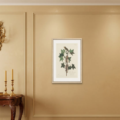Orlonzo - FRAMED CANVAS WOOD 50x75cm20x30 ROOM