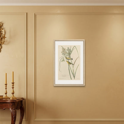Orlonzo - FRAMED CANVAS WOOD 50x75cm20x30 ROOM