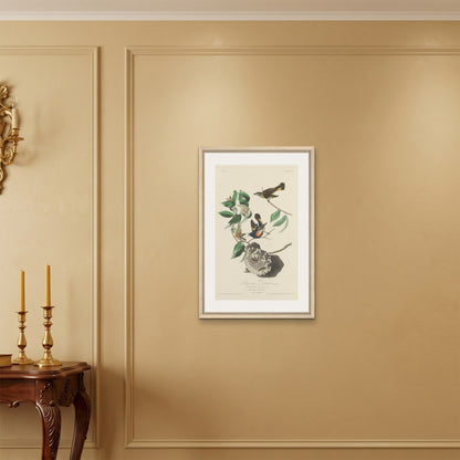 Orlonzo - FRAMED CANVAS WOOD 50x75cm20x30 ROOM