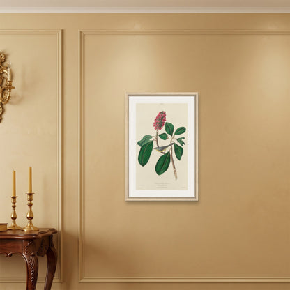 Orlonzo - FRAMED CANVAS WOOD 50x75cm20x30 ROOM