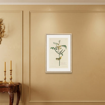 Orlonzo - FRAMED CANVAS WOOD 50x75cm20x30 ROOM