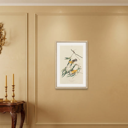 Orlonzo - FRAMED CANVAS WOOD 50x75cm20x30 ROOM