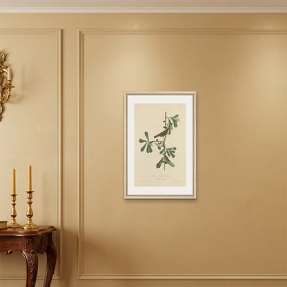 Orlonzo - FRAMED CANVAS WOOD 50x75cm20x30 ROOM