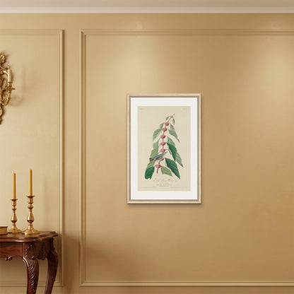 Orlonzo - FRAMED CANVAS WOOD 50x75cm20x30 ROOM