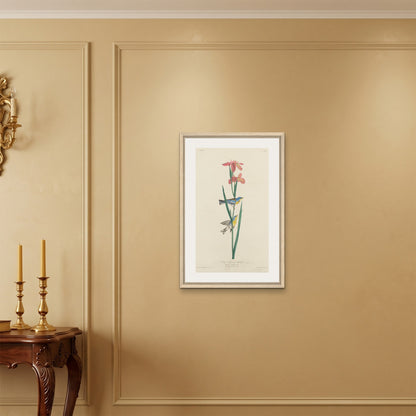 Orlonzo - FRAMED CANVAS WOOD 50x75cm20x30 ROOM