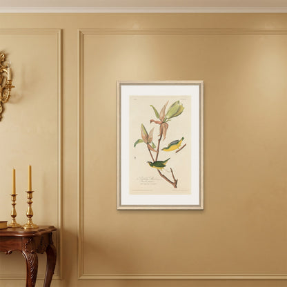 Orlonzo - FRAMED CANVAS WOOD 60x90cm24x36 ROOM