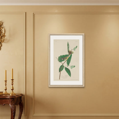 Orlonzo - FRAMED CANVAS WOOD 60x90cm24x36 ROOM