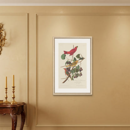 Orlonzo - FRAMED CANVAS WOOD 60x90cm24x36 ROOM