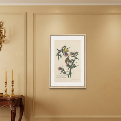 Orlonzo - FRAMED CANVAS WOOD 60x90cm24x36 ROOM