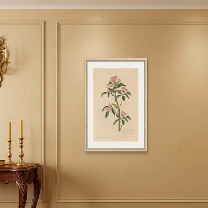 Orlonzo - FRAMED CANVAS WOOD 60x90cm24x36 ROOM