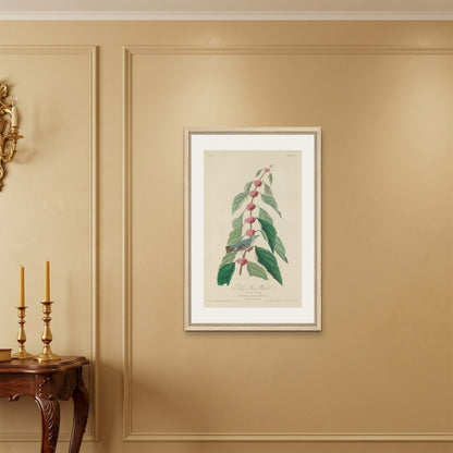 Orlonzo - FRAMED CANVAS WOOD 60x90cm24x36 ROOM