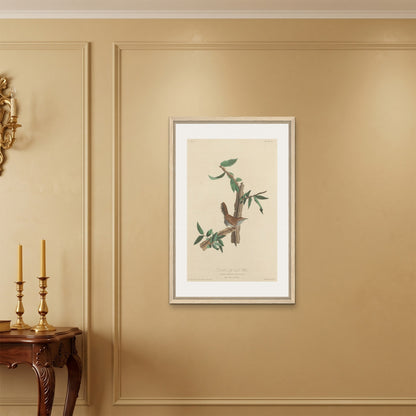 Orlonzo - FRAMED CANVAS WOOD 60x90cm24x36 ROOM