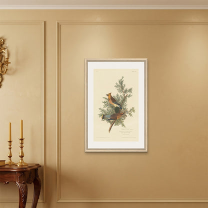 Orlonzo - FRAMED CANVAS WOOD 60x90cm24x36 ROOM