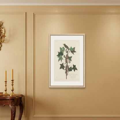 Orlonzo - FRAMED CANVAS WOOD 60x90cm24x36 ROOM